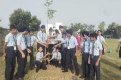 Tree Planting 31-8-2023